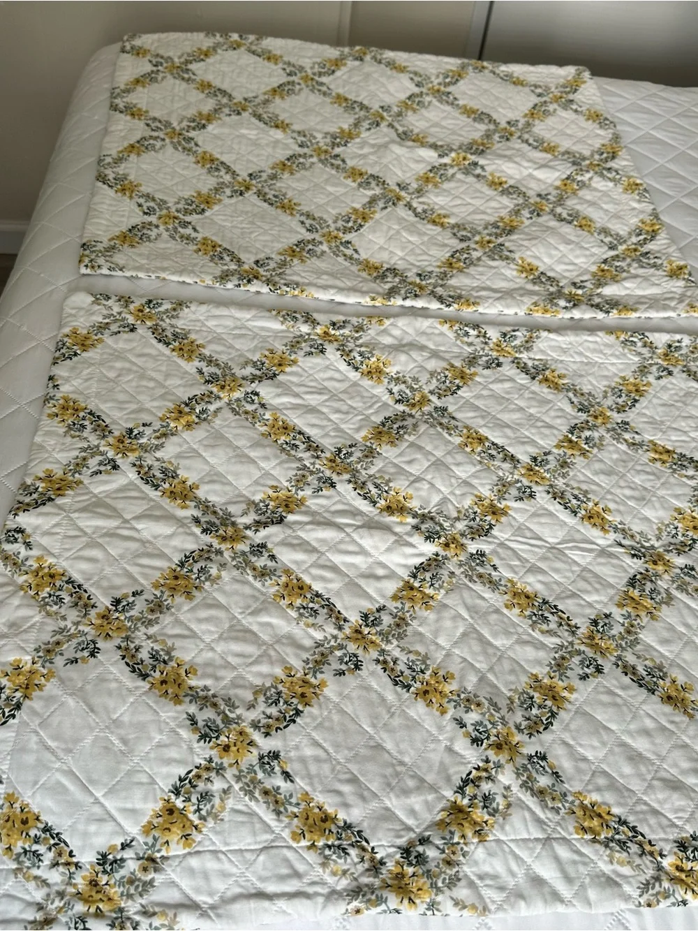 Laura Ashley Antoinette Shams Pair